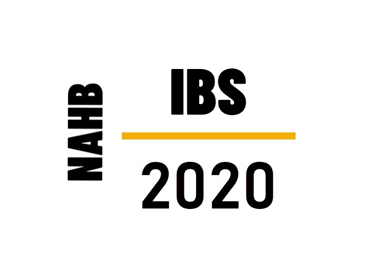 IBS 2020