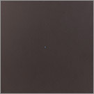 Dark Bronze