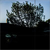 translucent-black glass