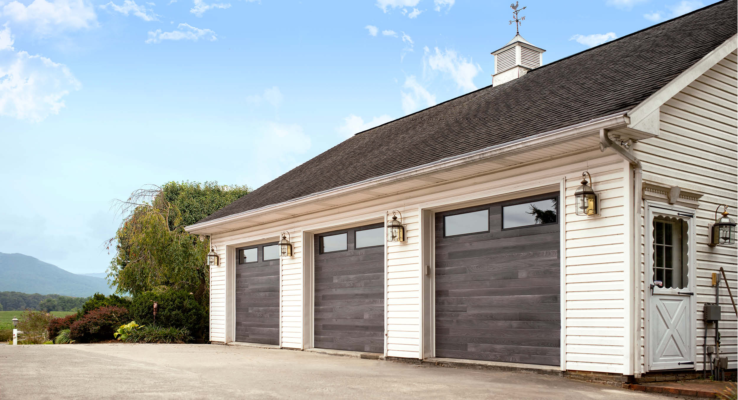 Contemporary Panel | Beachwood Plank Wood Grain Impressions™ Finish | Clear IV windows